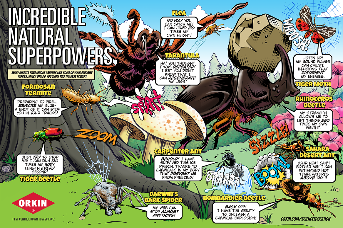 science education poster